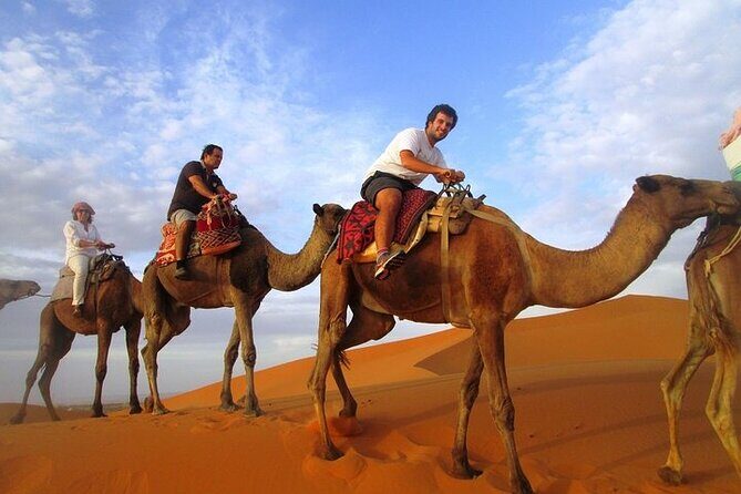 12 Days Private Luxury Sightseeing Tour in Morocco - An In-Depth Look at the Tour Itinerary