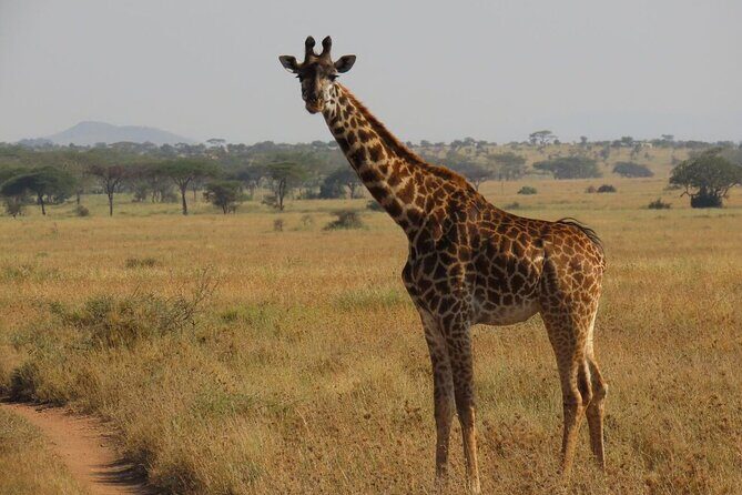 12 Days Safari Tour around Mt Kilimanjaro off the beaten - Final Thoughts