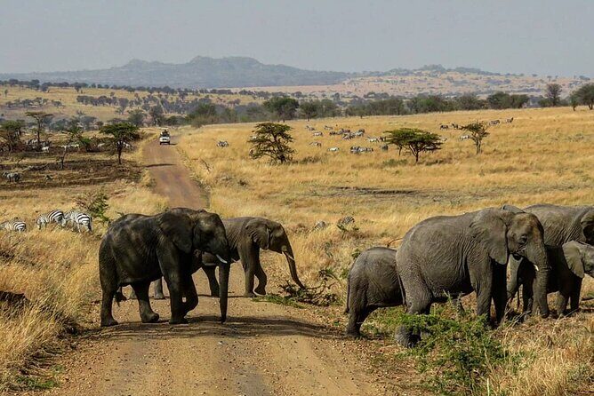 12 Days Safari Tour around Mt Kilimanjaro off the beaten - FAQ