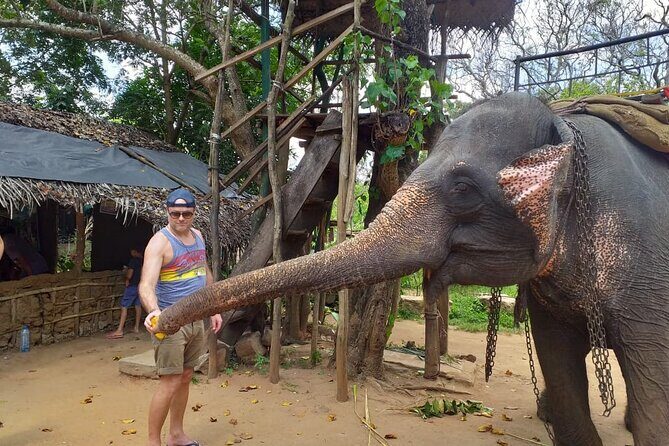 12 Days Sri Lanka Island Adventure and Wild Tour - Who Is This Tour Best For?