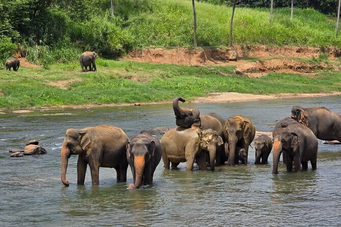 12 Days Tour Grand Discovery of Sri Lanka - An In-Depth Look at the 12-Day Itinerary