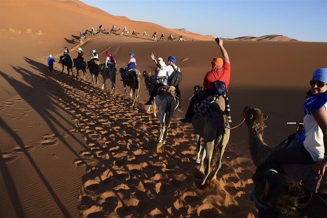12 Days Tour to the Heart of Morocco - Final Thoughts