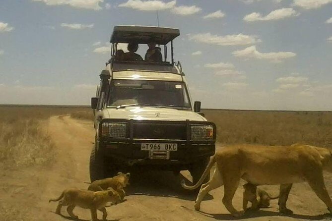 12 Days Wildlife Safaris And Culture Tour - Key Points