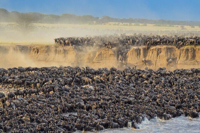 12 Days Wildlife Safaris And Culture Tour - Final Words
