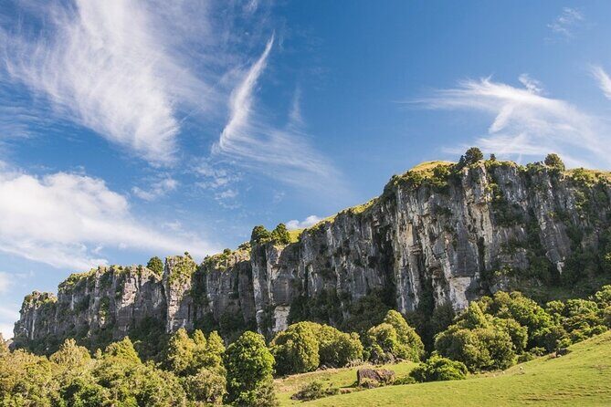 12-Hour LOTR Trollshaws & Waitomo Glowworm Tour - Key Points