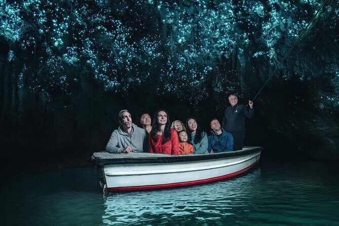 12-Hour LOTR Trollshaws & Waitomo Glowworm Tour - An In-Depth Look at the 12-Hour LOTR Trollshaws & Waitomo Glowworm Tour