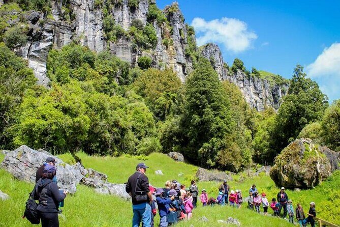 12-Hour LOTR Trollshaws & Waitomo Glowworm Tour - Final Thoughts: Is This Tour Right for You?