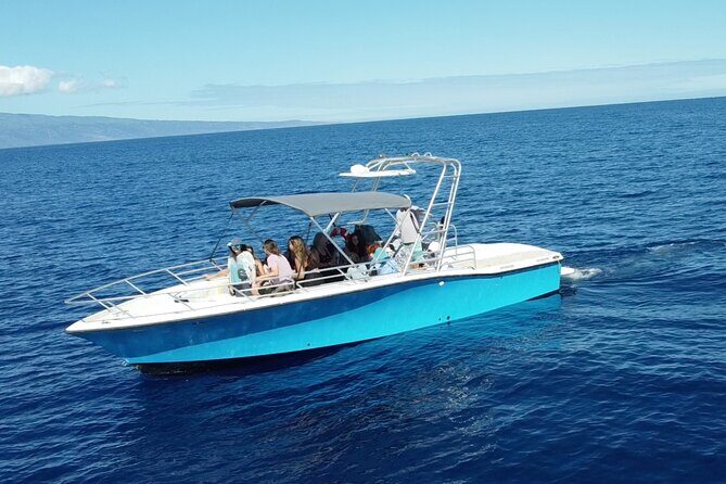 12 Passenger Kaanapali Beach Whale Watch tour. Onboard Whale Mic - An In-Depth Look at the Tour Experience