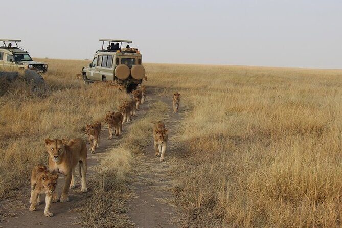 13-Day Private Wildlife Safari Tour of Kenya and Tanzania - Starting in Nairobi and the Samburu Experience