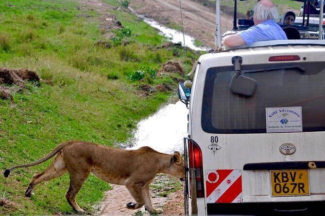13-Day Private Wildlife Safari Tour of Kenya and Tanzania - Ending in Arusha