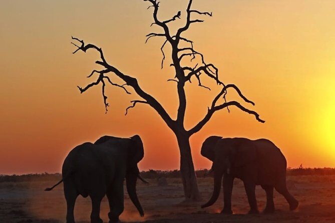 13 Day WILDERNESS TRAIL: Best Of Northern Botswana -WildCamping + Victoria Falls - Key Points