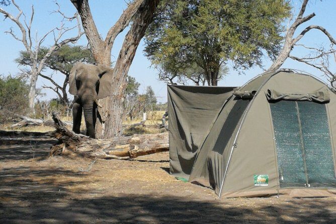 13 Day WILDERNESS TRAIL: Best Of Northern Botswana -WildCamping + Victoria Falls - Authenticity and Value