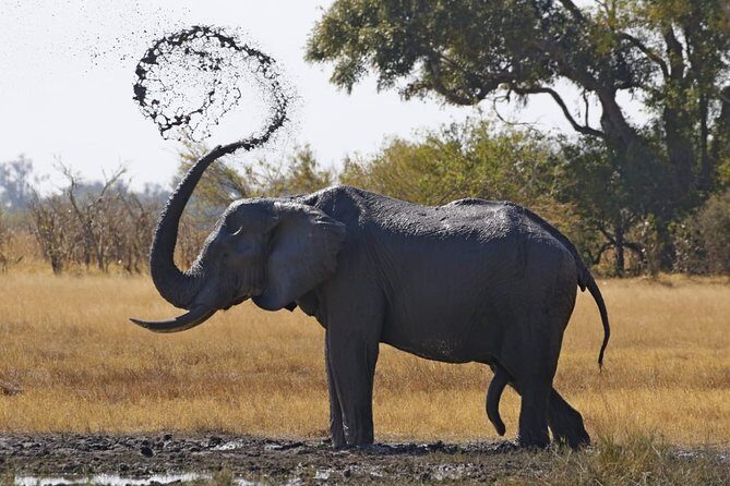 13 Day WILDERNESS TRAIL: Best Of Northern Botswana -WildCamping + Victoria Falls - Who Is This Tour For?