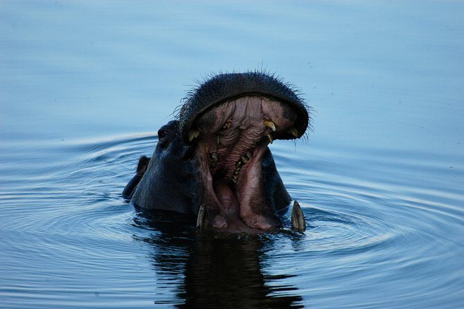 13 Days Best Of Zimbabwe - A Closer Look at the Itinerary