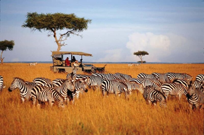 13 Days of Wild Wonder Kenya & Tanzania Safari in a 4x4 Jeep - A Closer Look at the 13-Day Itinerary