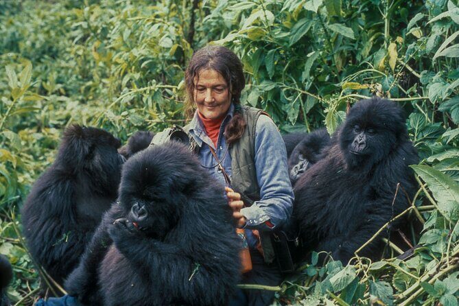 13 Days Wildlife Adventure Trip To The Pearl Of Africa - An In-Depth Look at the 13-Day Wildlife Adventure