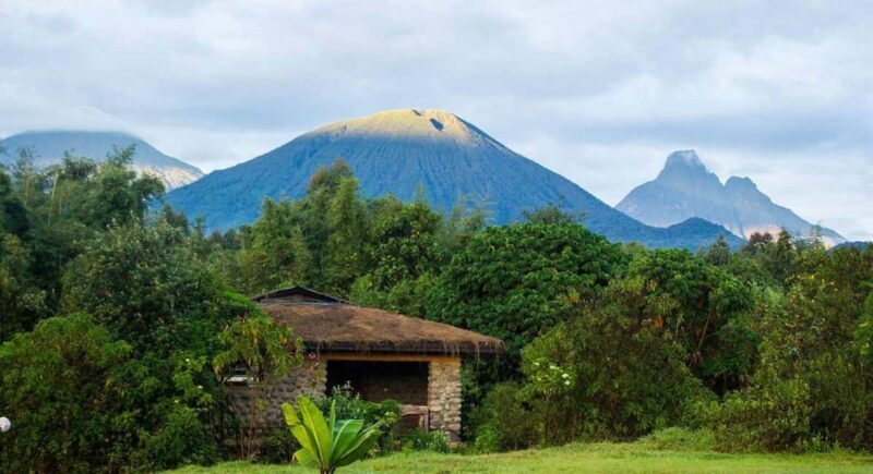 13-Days wildlife safari in Rwanda - FAQ