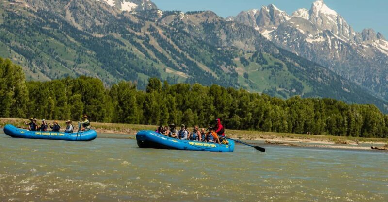 13-Mile Snake River Scenic Rafting Experience from Jackson - An In-Depth Look at the Snake River Scenic Float