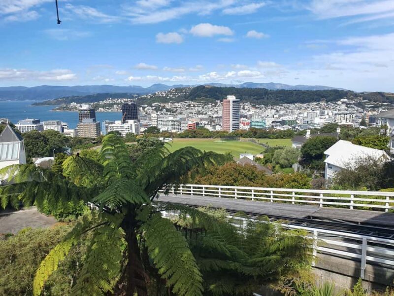 14 Day Northern Kiwi Small Group Tour - Exploring the 14 Day Northern Kiwi Small Group Tour: A Genuine Look