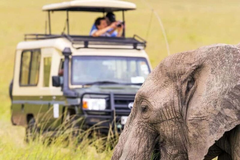 14-Day Uganda Adventure - Starting Point: Entebbe and the Journey to Kibale