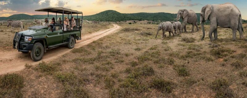 14-Day Uganda Adventure - Lake Mburo National Park and City Highlights