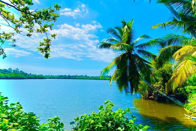 14 Days/ 13 Nights -Sri Lanka Tour on Culture, Wildlife & Beaches - A Closer Look at the Itinerary