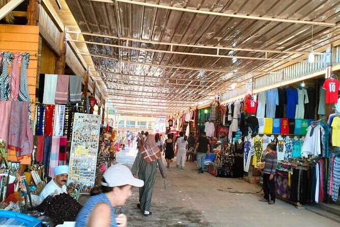 14 Days Egypt adventure Nile sahara desert bus tour - Exploring Saqqara and Memphis