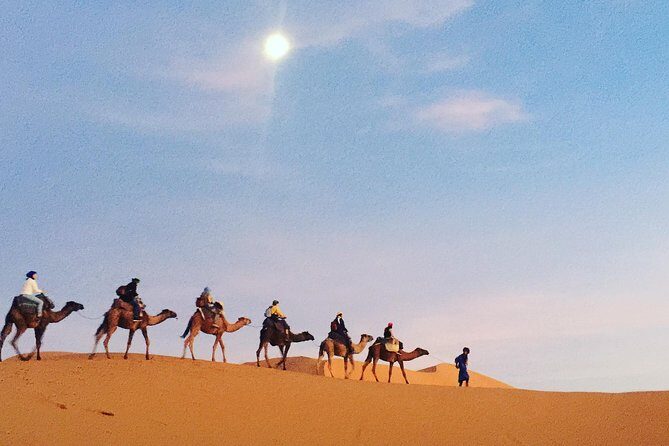 14 Days the authentic of Morocco Cities & desert tours from Casablanca or other - Logistics and Practical Considerations