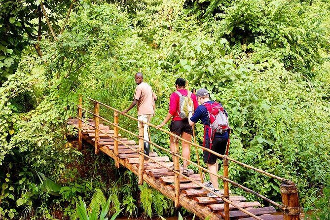 14 Days Uganda Rwanda Primate Tour - The Details of the 14-Day Wildlife Adventure