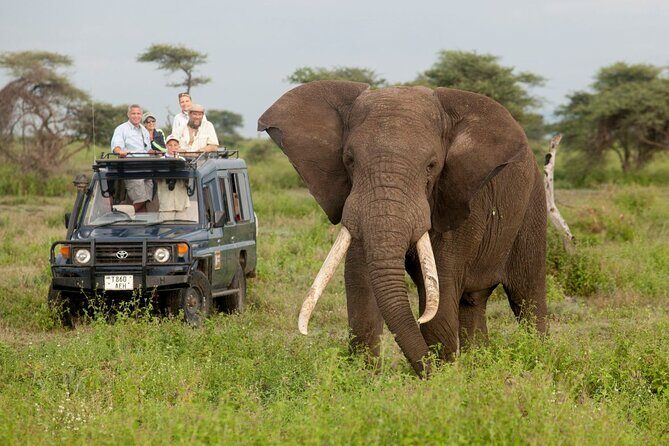 14 Days Uganda Rwanda Primate Tour - Who Should Consider This Tour?