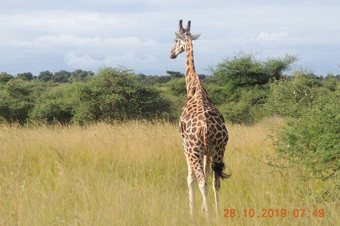 14 Days Uganda Wildlife and Primate Safari with Bigfive - Final Thoughts
