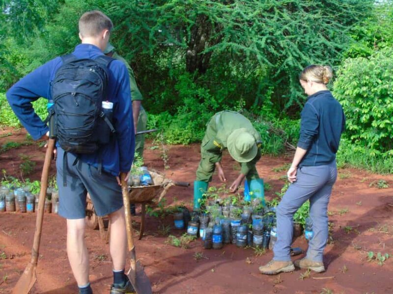14Days Volunteer Community Wildlife Sanctuary - Who Will Benefit Most from This Experience?