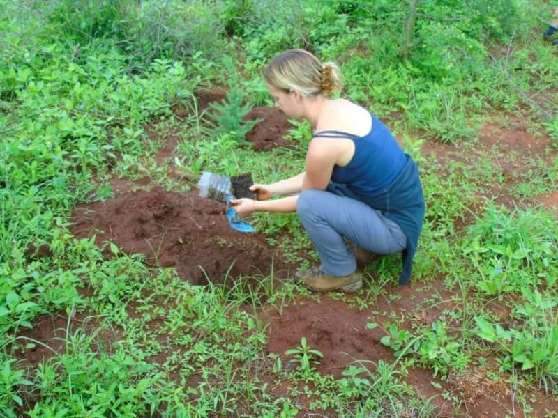 14Days Volunteer Community Wildlife Sanctuary - The Sum Up