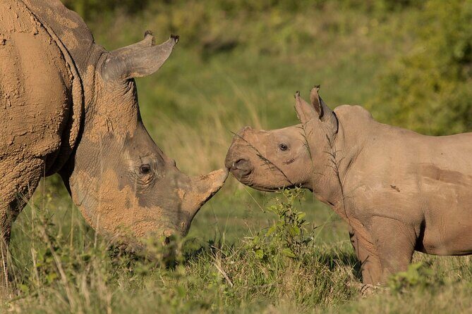 15-Day All Inclusive Sibuya Wilderness Guided Tour - Final Thoughts