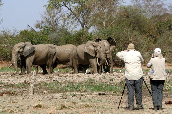 15-Day Ghana Wildlife Private Tour - The Sum Up