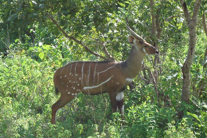 15-Day Ghana Wildlife Private Tour - FAQ