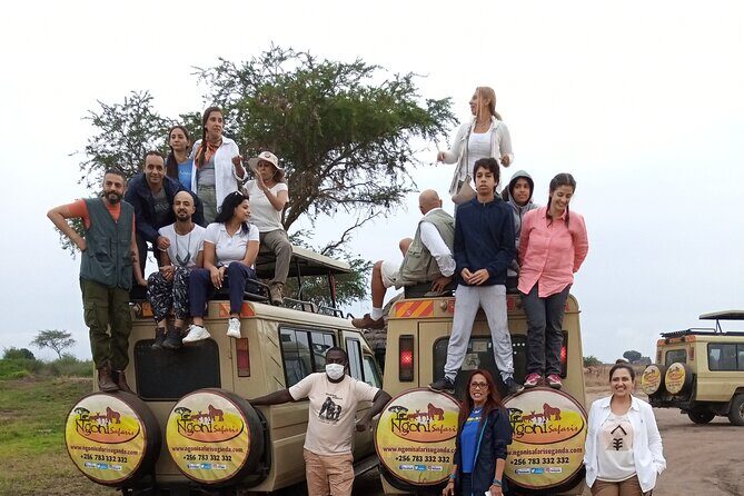 15-Day Gorilla and chimps Trekking, Big 5 and Nature Sighting Safari - Transportation and Logistical Comfort