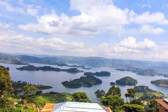 15 Day Gorillas, Chimps and Big 5 Safari Tour - The Itinerary Breakdown: What to Expect