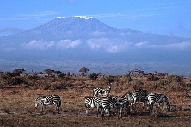 15 Days Classic Kenya & Tanzania + Zanzibar Beach Holiday - An Overview of the Itinerary: What to Expect