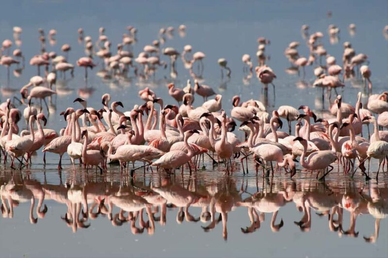 15 Days Spectacular Kenya, Tanzania Safari & Zanzibar Beach - Ngorongoro Crater