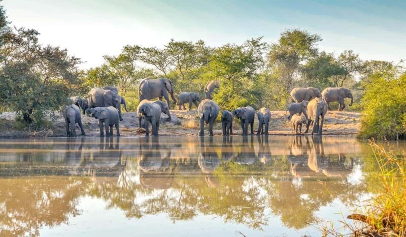 15 Days Spectacular Kenya, Tanzania Safari & Zanzibar Beach - An In-Depth Review of the 15-Day Africa Safari & Beach