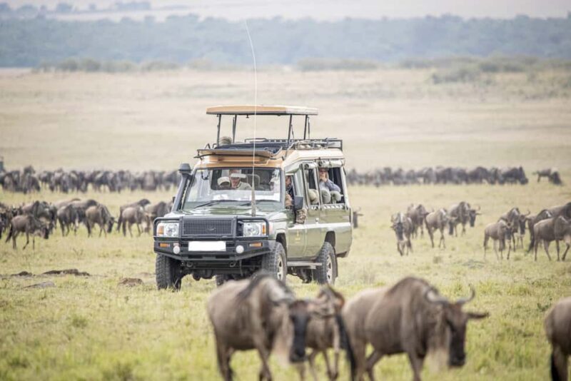 15 Days Spectacular Kenya, Tanzania Safari & Zanzibar Beach - FAQ