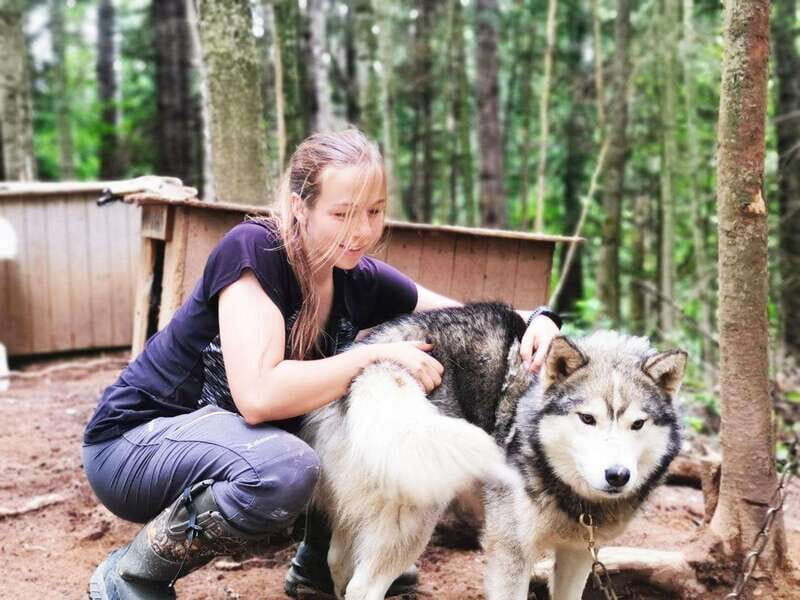 15 min. Tadoussac : Behind-the-Scenes Sled Dog Kennel Tour - The Experience in Detail