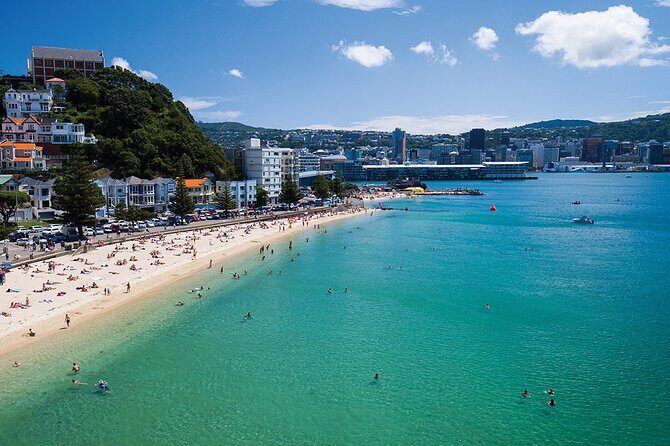 15-Minute Wellington Harbour Helicopter Flight - What to Expect from the Wellington Harbour Helicopter Tour
