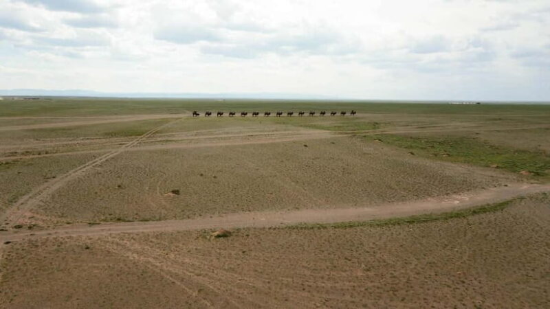 16-Day Mongolia Adventure: Gobi, Central & Khuvsgul Lake - Khuvsgul Lake: The "Switzerland of Mongolia"