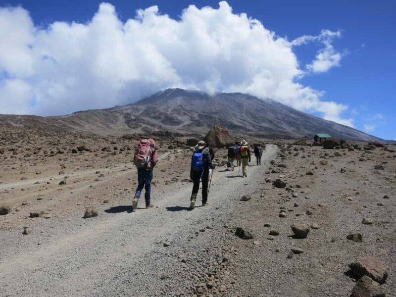16-Day Mt.Kilimanjaro, Northern Safari, and Zanzibar Beach - Key Points