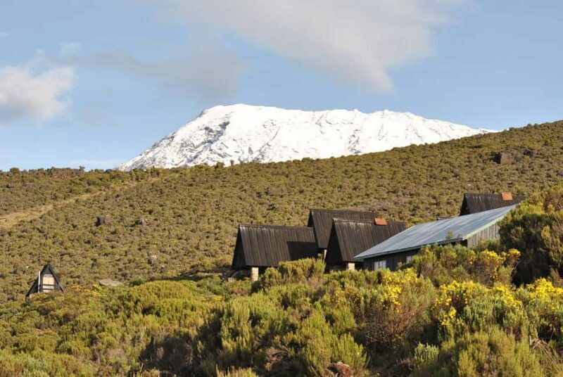 16-Day Mt.Kilimanjaro, Northern Safari, and Zanzibar Beach - Who This Tour Is Best For