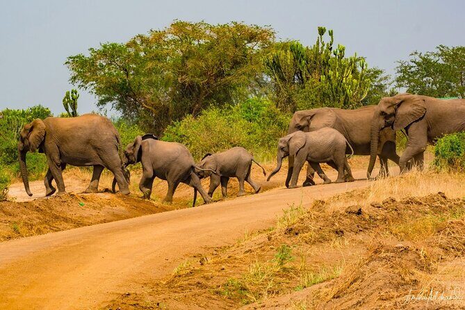 16-Day Photo Tour to Uganda and Tanzania - Final Thoughts