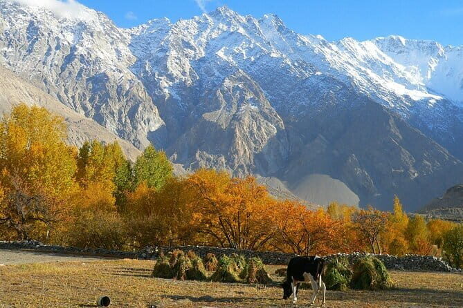 16 Days North Pakistan Autumn Tour Book Now 2025-26 - Key Points