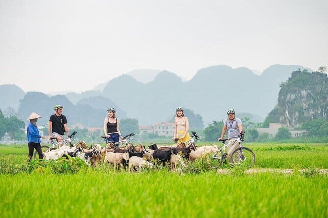 17-Day Vietnam Tour | Explore the Best Highlights of Vietnam - Introduction: What to Expect from This Vietnam Tour